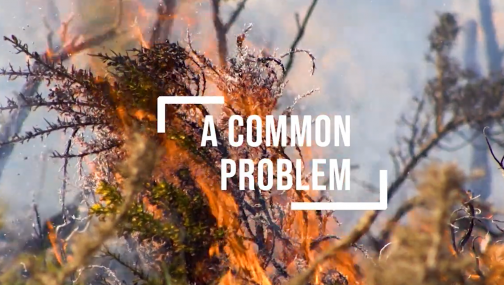 REMAS - Gestion du risque d'émissions de gaz à effet de serre dans les incendies de forêt