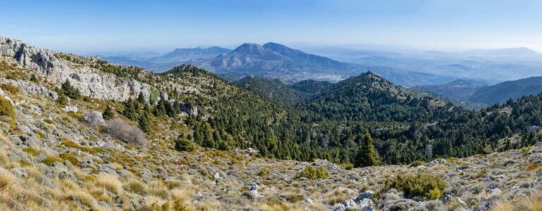 Sierra-de-las-Nieves-NP-Spain