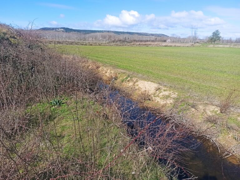 Paysage