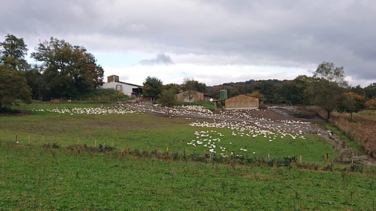 Site 1