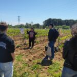 El Instituto de Ciencias de la Vid y del Vino recibió a los estudiantes del Máster en Enología Innovadora de la Universidad de Vitoria