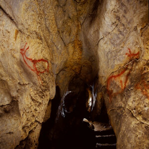 Cueva de Covalanas