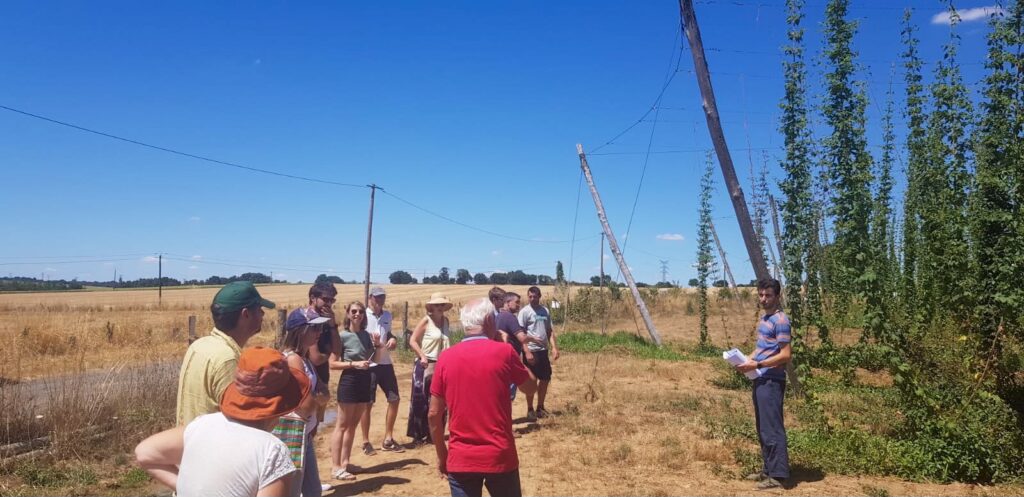 Jornada de sensibilización y puertas abiertas en Taizé-Aizie