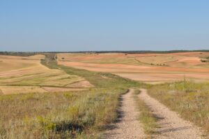 Cañada Real Conquense. Autor: José Antonio González Novoa.