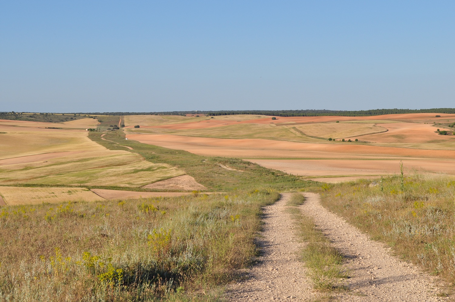 Cañada Real Conquense. Autor: José Antonio González Novoa.