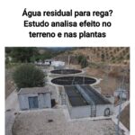 Portada reportaje del IPB en SIC noticias