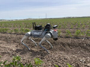catec_robot1