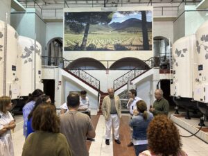 Bodegas del Rosario- Bullas