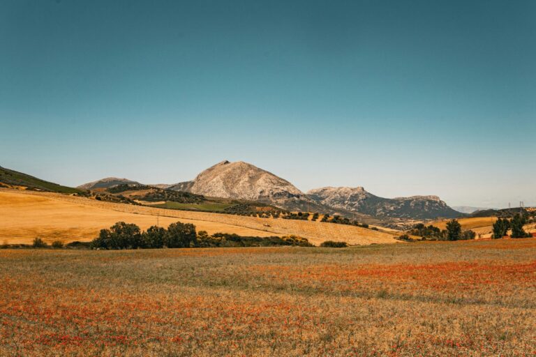 amanda-anusane-nLmXbibUXpA-unsplash