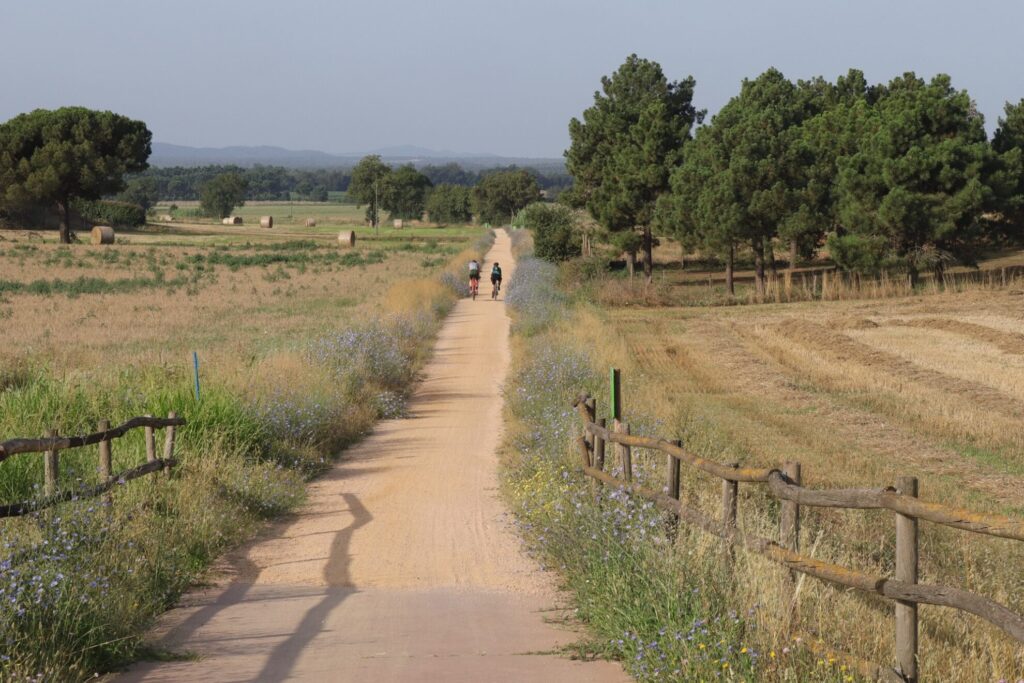 Vía Verde de Girona. Autor: Anselm Rodrigo domínguez.