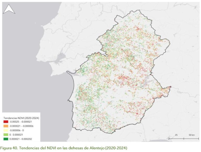 Captura de pantalla 2026-02-03 141123