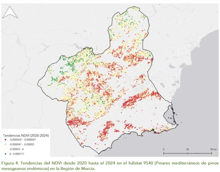 Captura de pantalla 2026-02-03 141148
