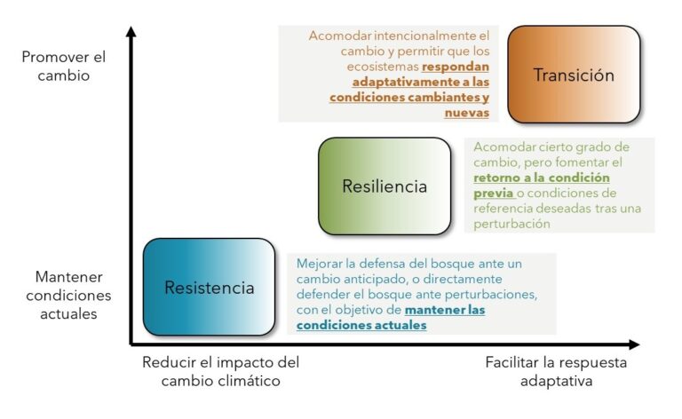 resistencia