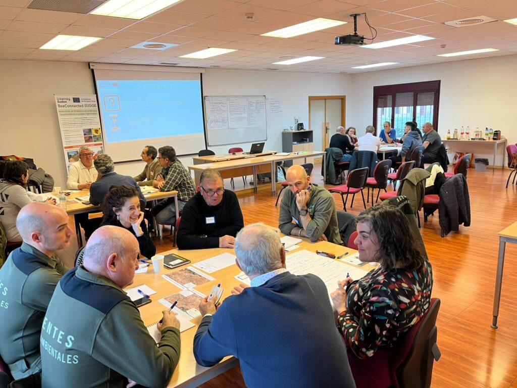 Taller participativo en Casilla-La Mancha. ©UAM