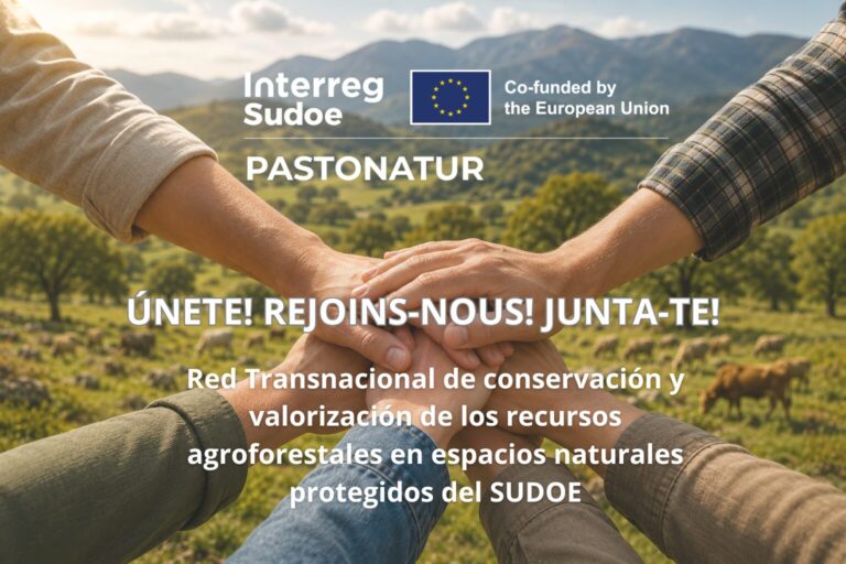 Noticia_ES