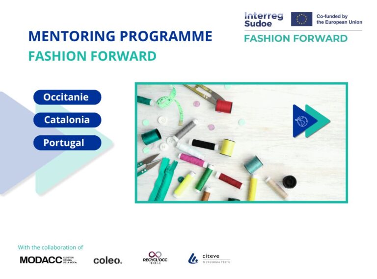 Mentoring programme_EN