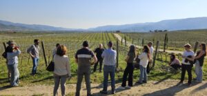 Visite site pilote portugais situé à Quinta do Ataíde (Symington Family Estates), dans la vallée du Douro