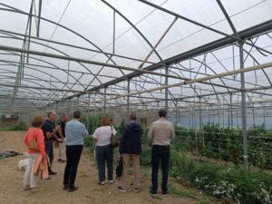 Visite des serres lors du lancement du projet POLITA en septembre 2025
