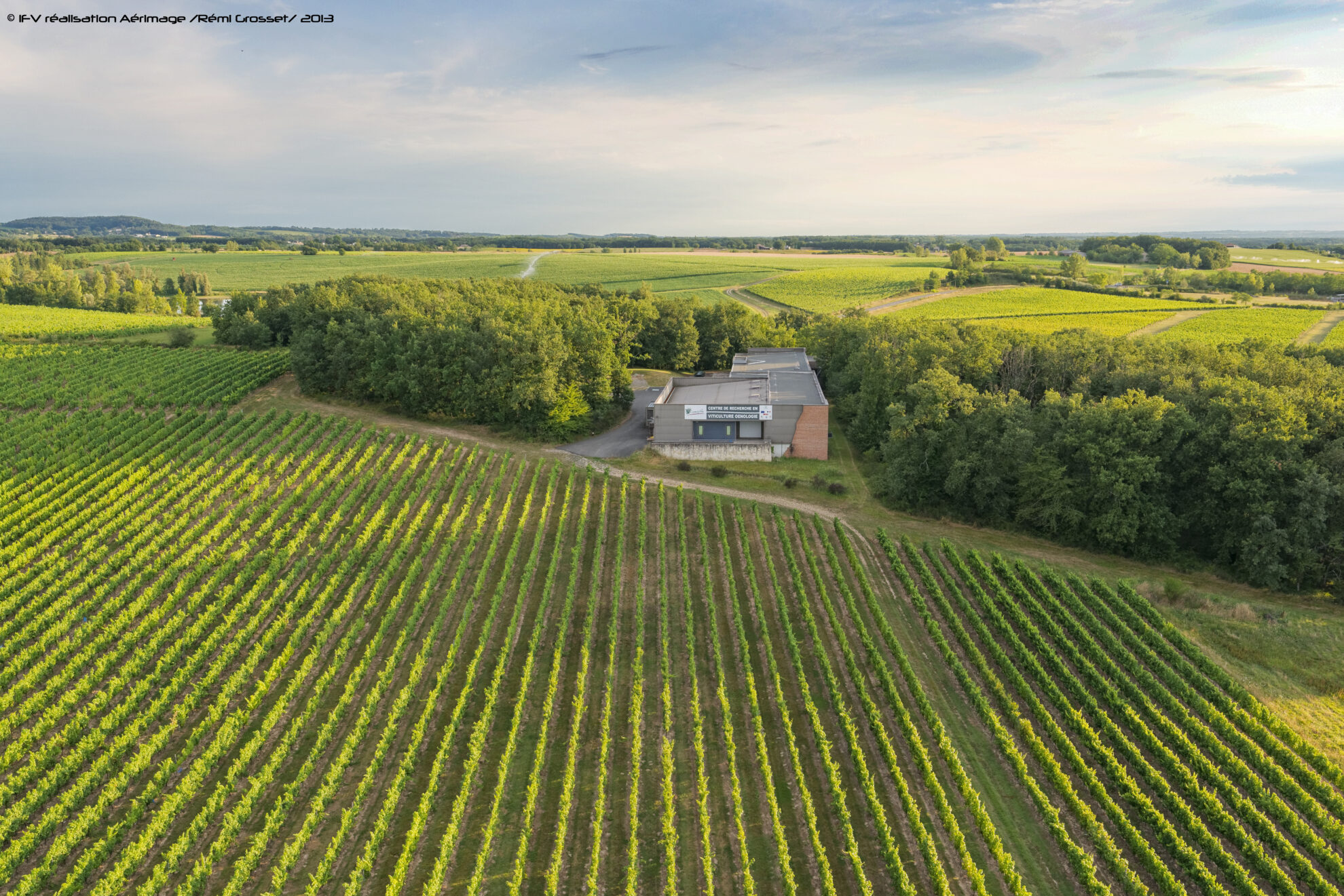 Vinopôle