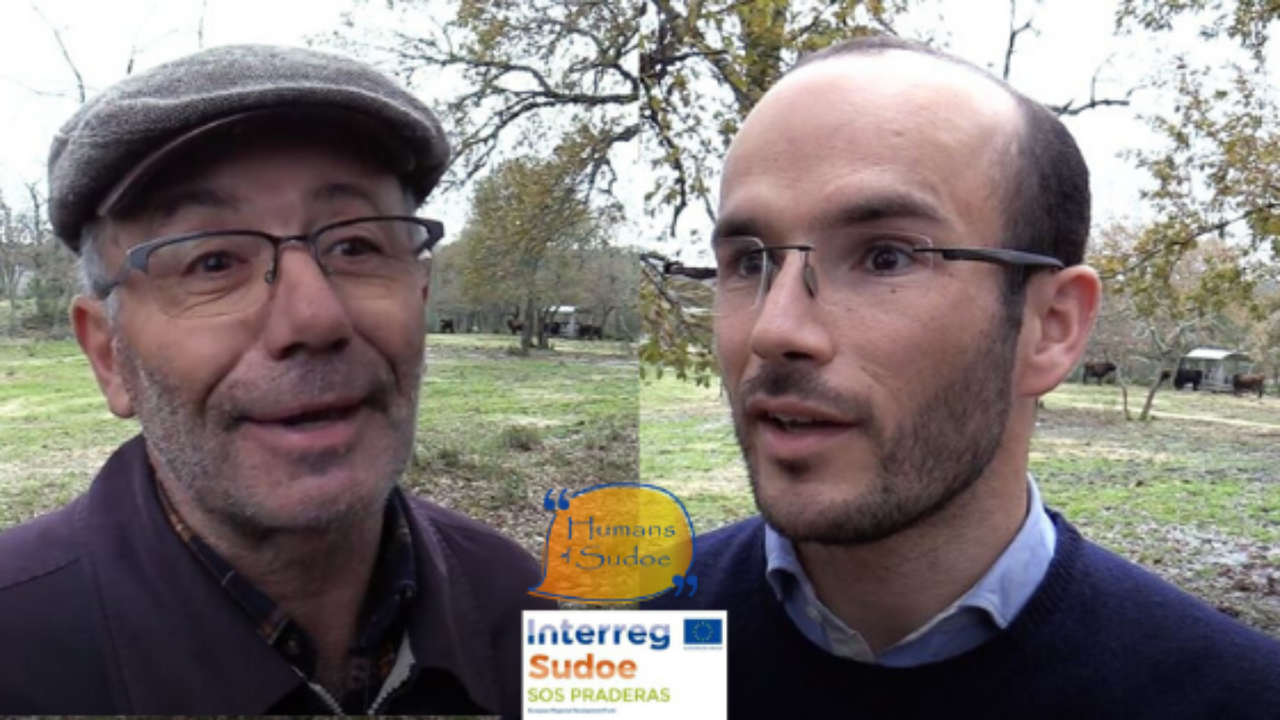 08E7F1A0-B080-393E-14CD-EF8959428751