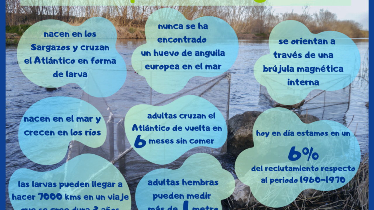 09B3738E-D099-F7DA-AF8E-C4B87340BCDA