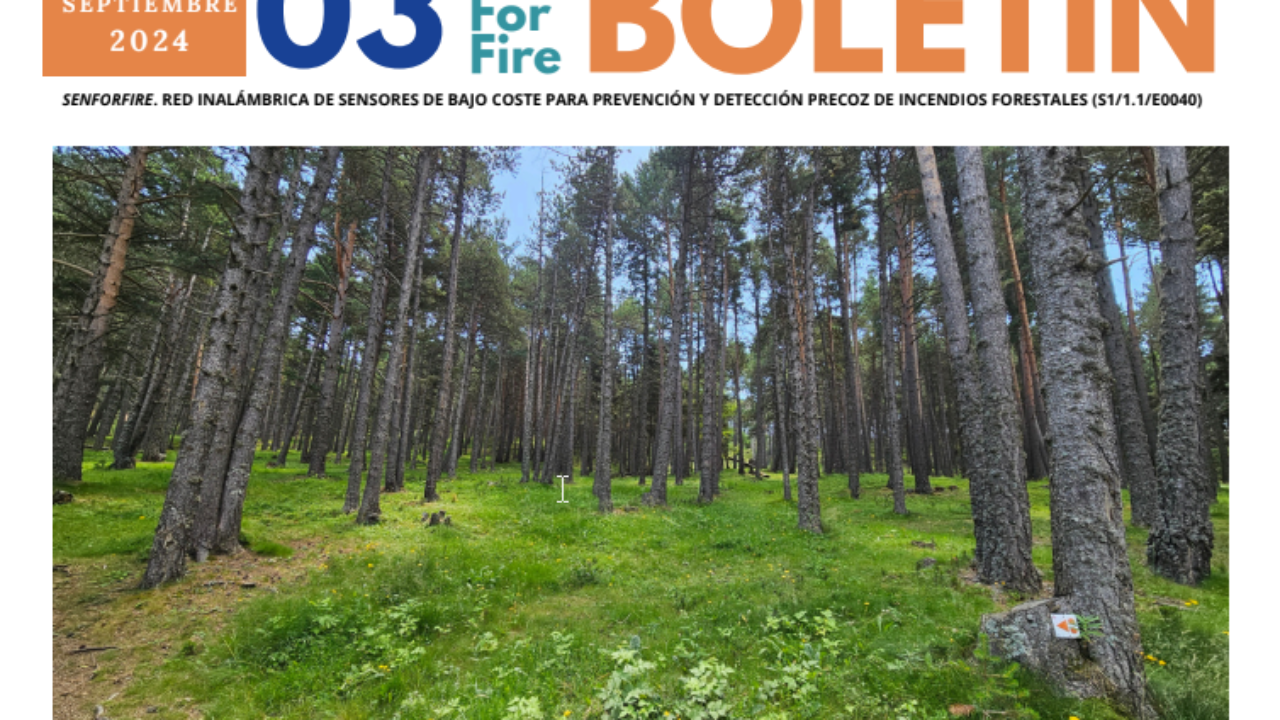 2024-10-18 18_12_20-Window