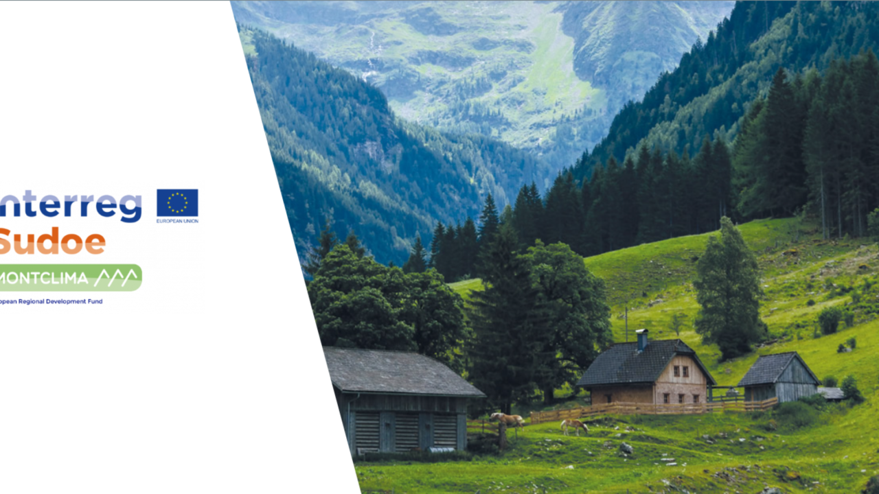 26263E05-BBE4-6937-3A2D-0EDCC033026B