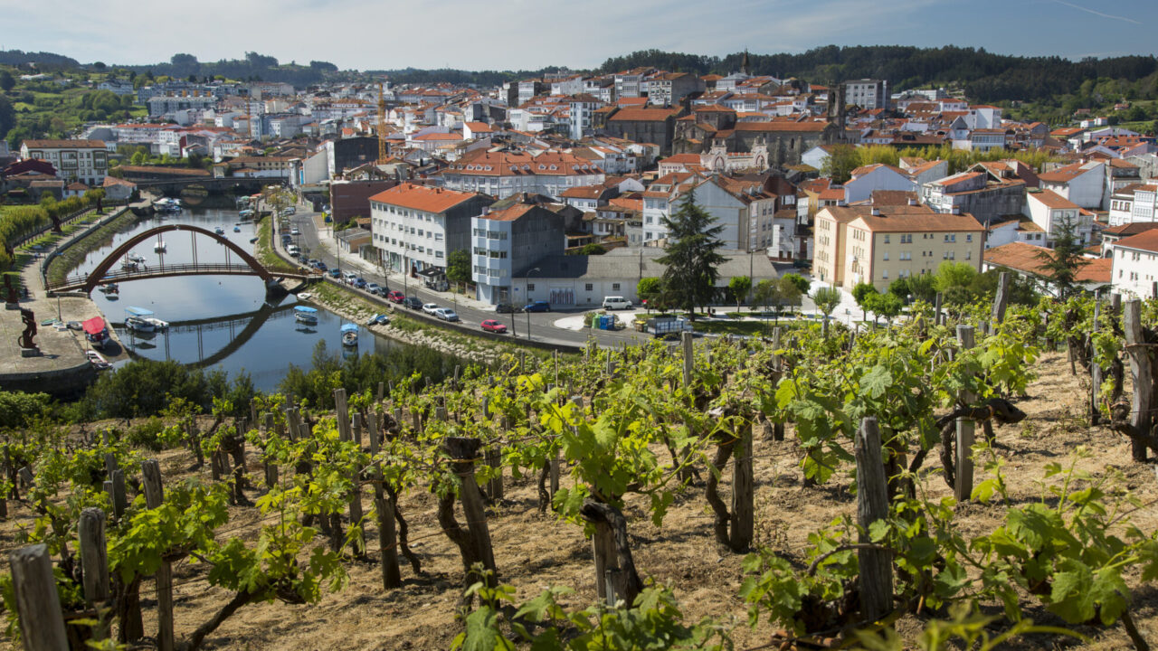 3_Viñedos_Betanzos