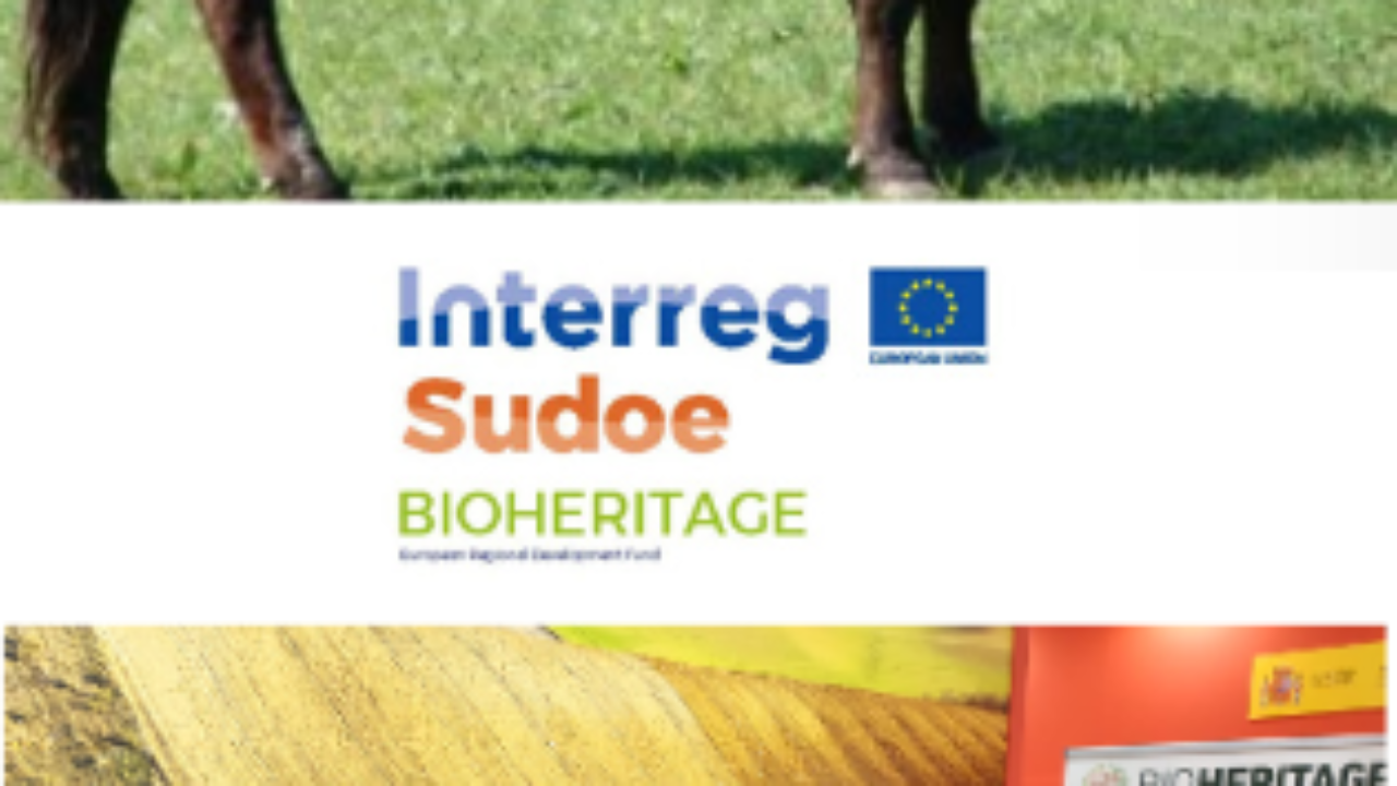 5795944B-C274-31C1-97B3-214E74F17BDC