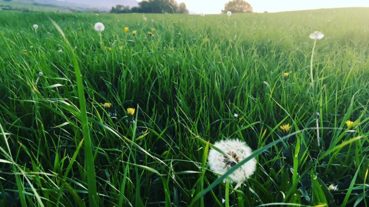 5F0E4A24-D81B-0DDF-63EE-211ED015F907