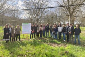 5e659237-0bce-4424-990f-0f092e6b508d