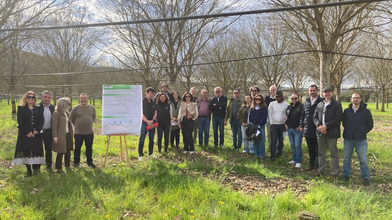 5e659237-0bce-4424-990f-0f092e6b508d