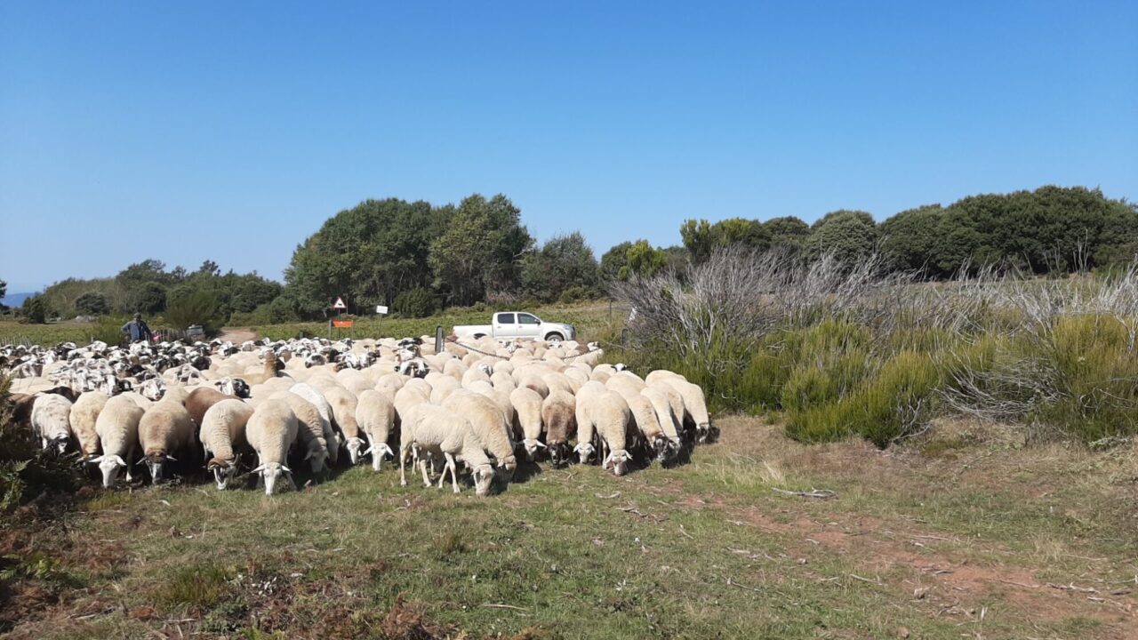 6DAD02BD-1685-2FD6-5CAB-F0B12B3F116C