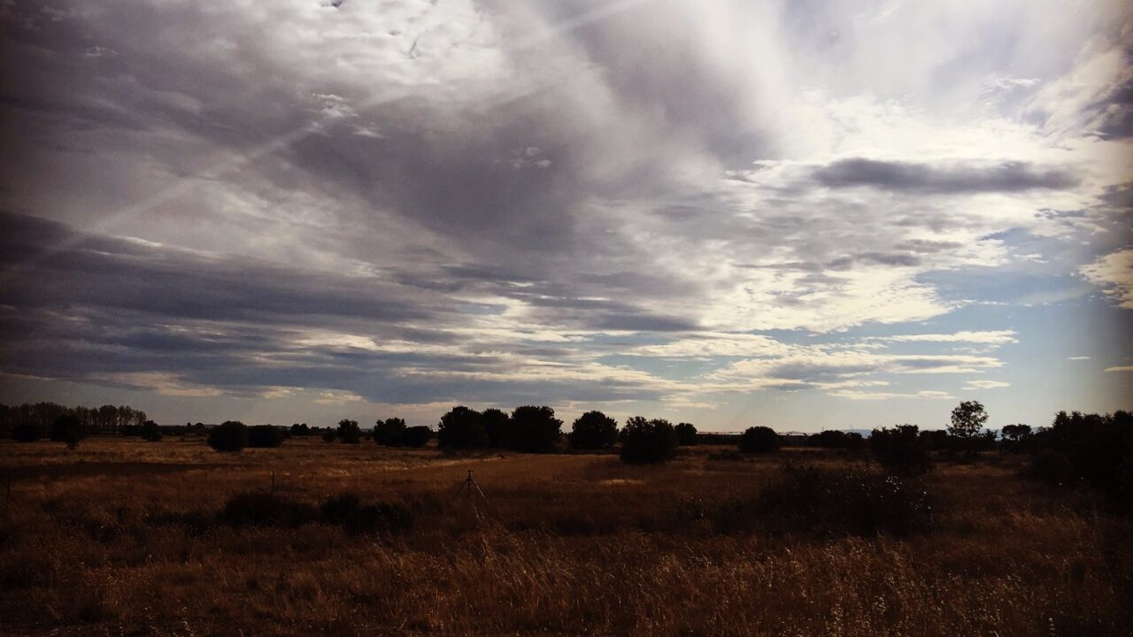 755A740B-789A-DDF0-44A0-8BA50D976E80