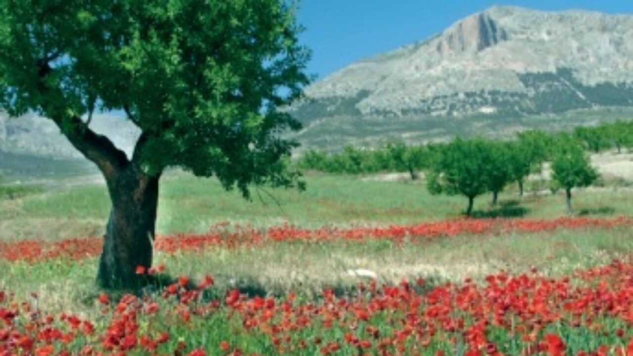 A89CBAA8-AEA3-9D8E-64A4-5BC8B4468A40