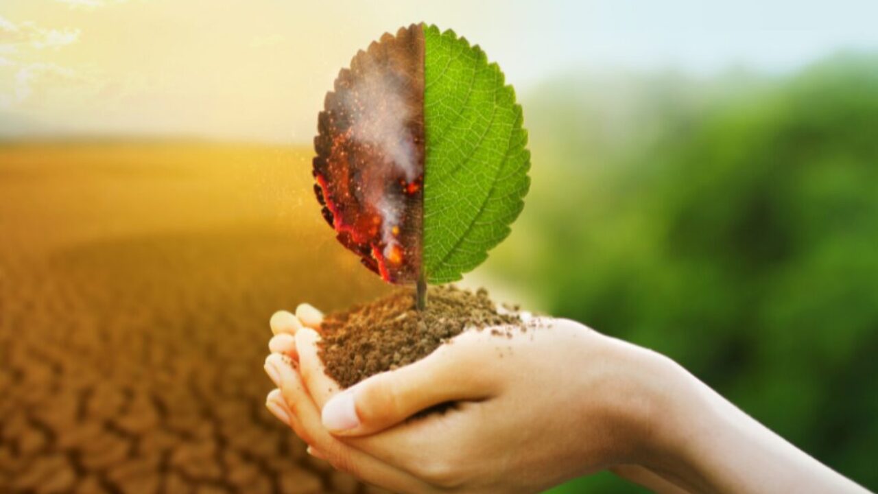 Agrosol