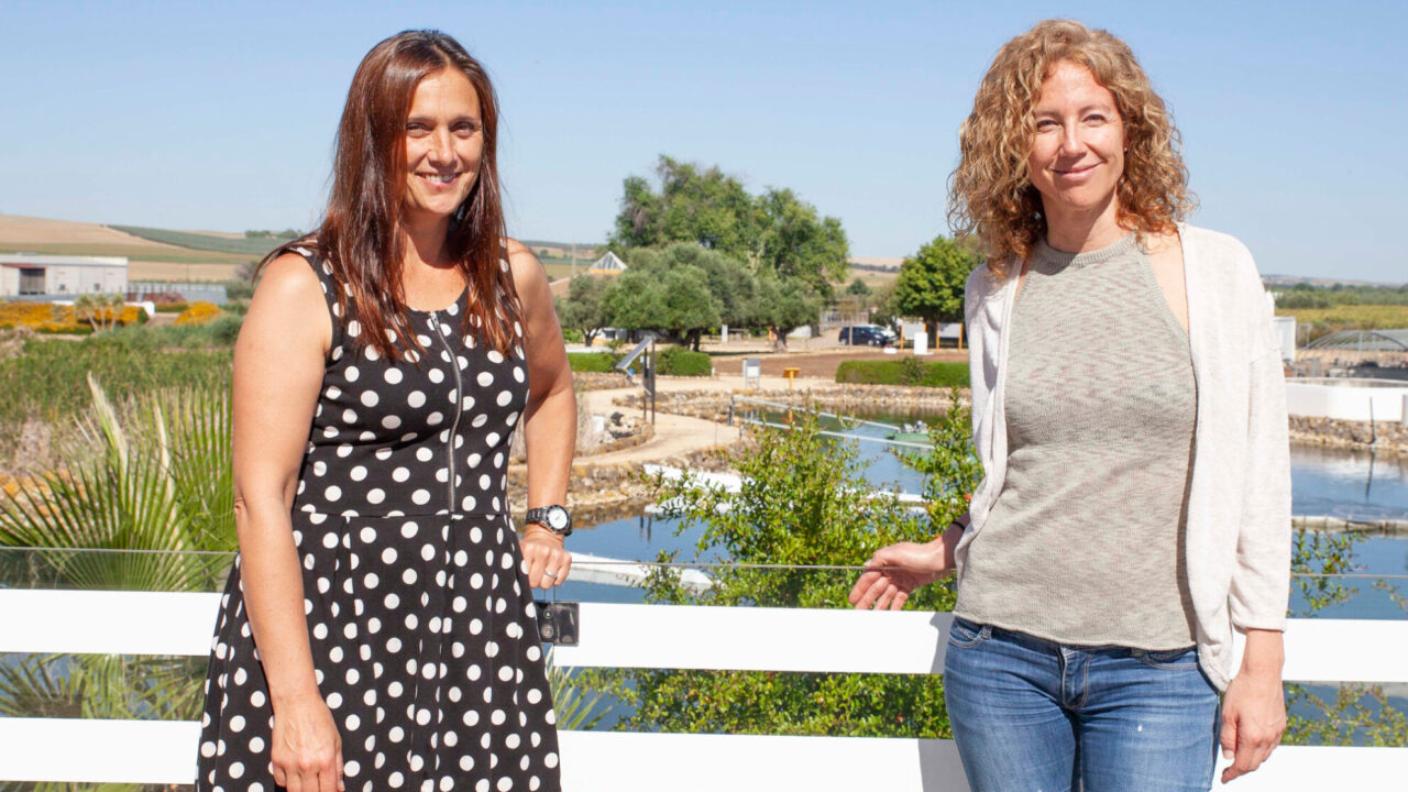 CC9ED5C1-5EA5-264E-C6A7-7A578B53813E