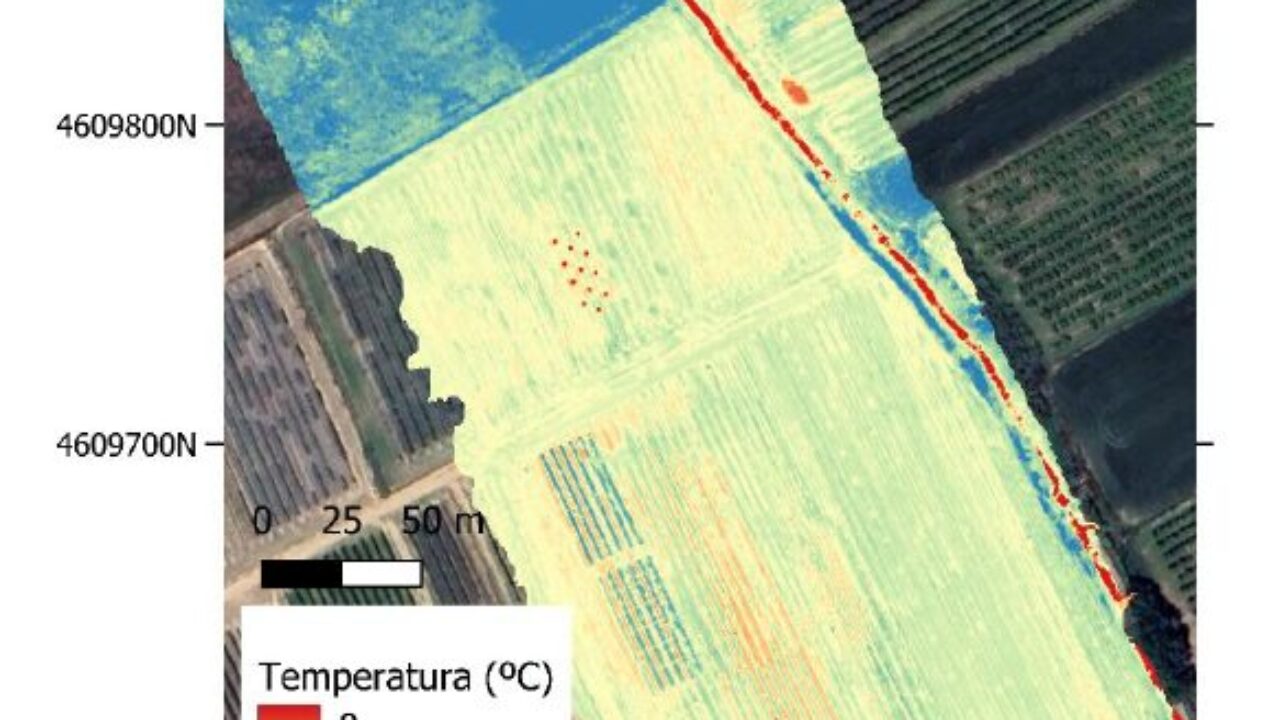 Captura de pantalla 2025-06-03 103209