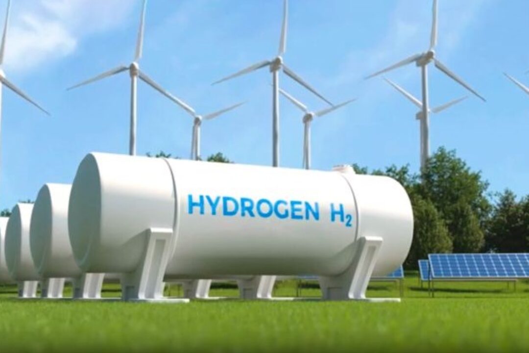 Copia imagen general