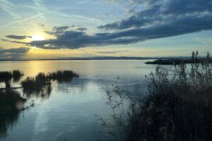 Cyan'EAU foto carrusel