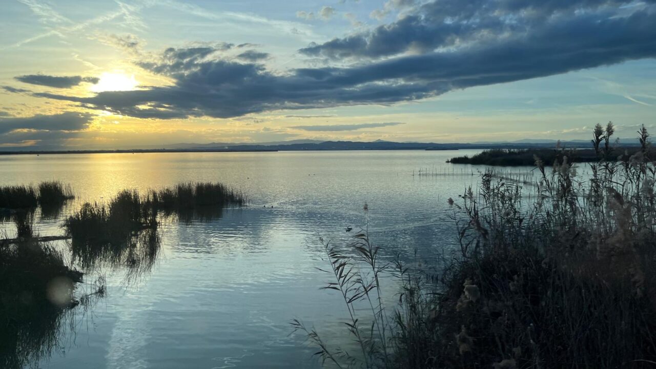 Cyan'EAU foto carrusel