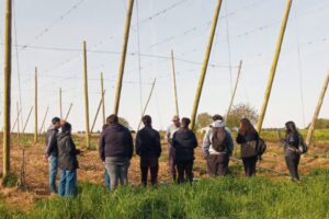 Diseño sin título (2)