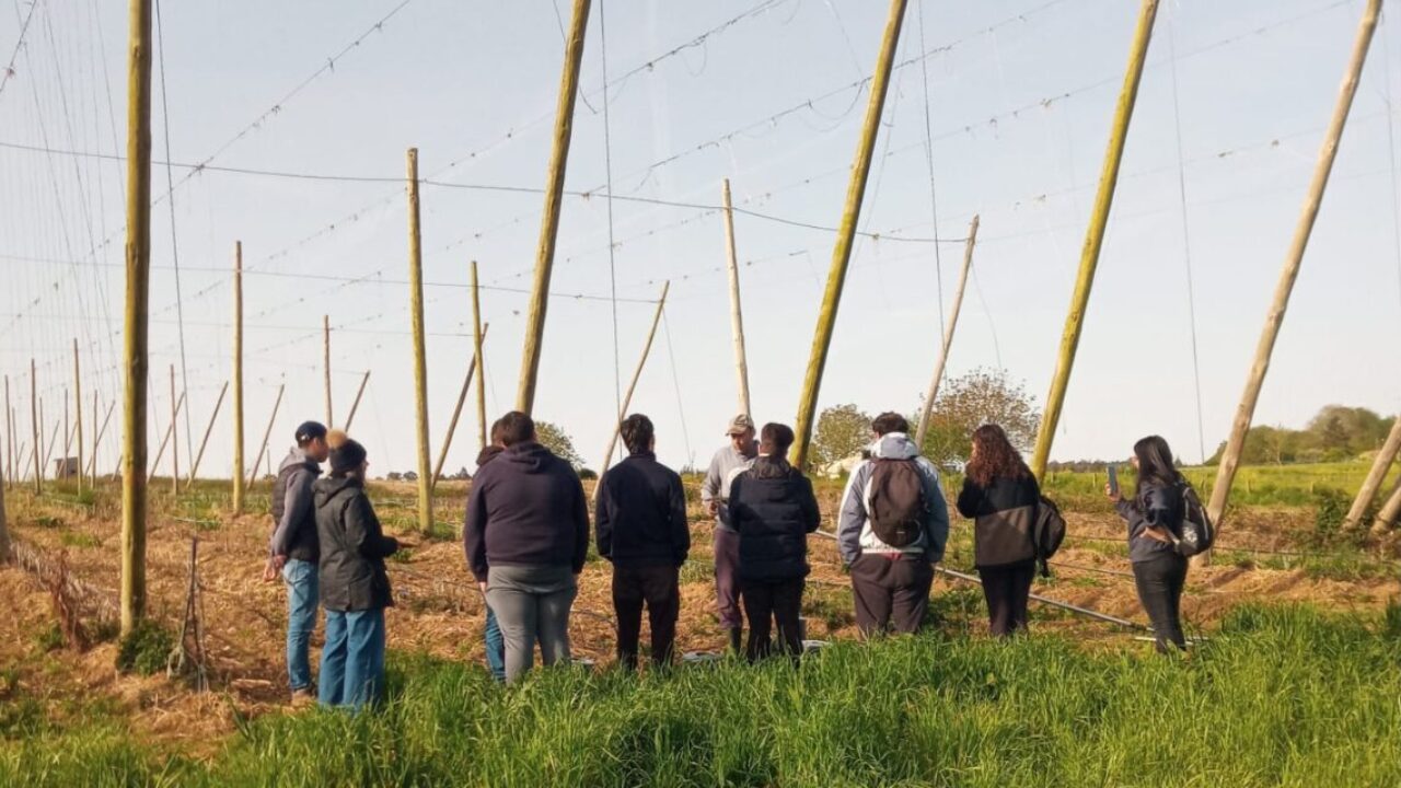 Diseño sin título (2)