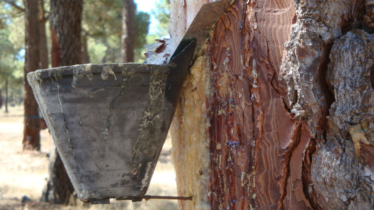 EB7441D4-52F3-C524-2735-8302F2FDA14A