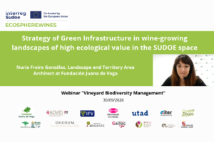 ECOSPHEREWINES-WEB-EN (1)