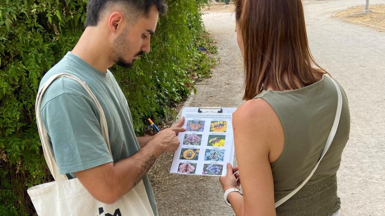 Encuestas en Ciudad Real_BeeConnected