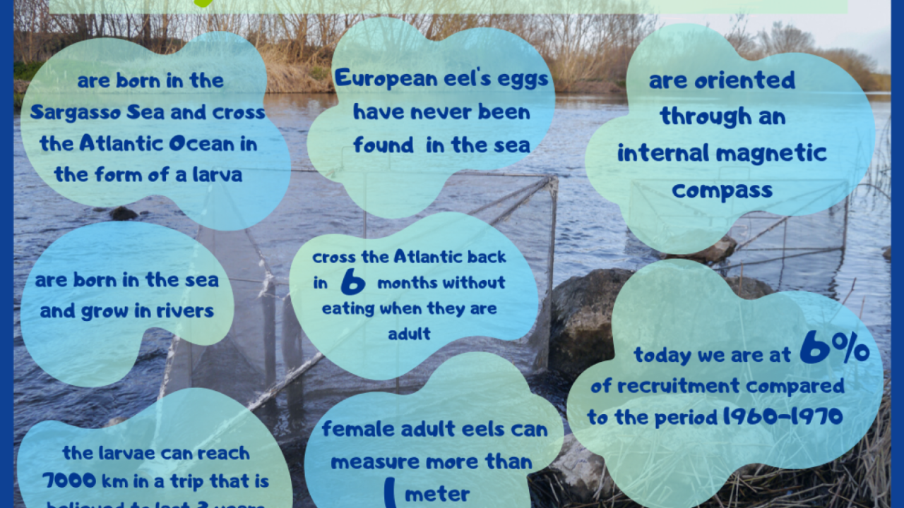 F55E517A-C750-50AA-6020-9A8C1058D156