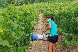 FemmeDansangVIgneAvecMachineA_BoutBras