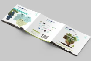 Folleto-informativo-2026
