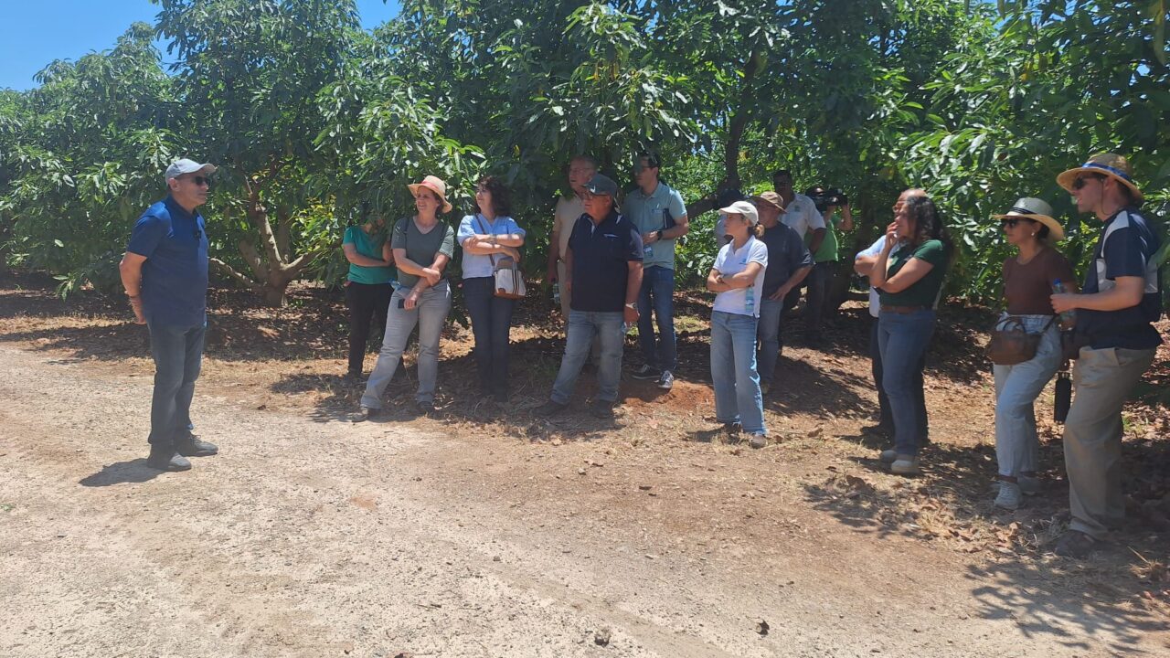 field visit